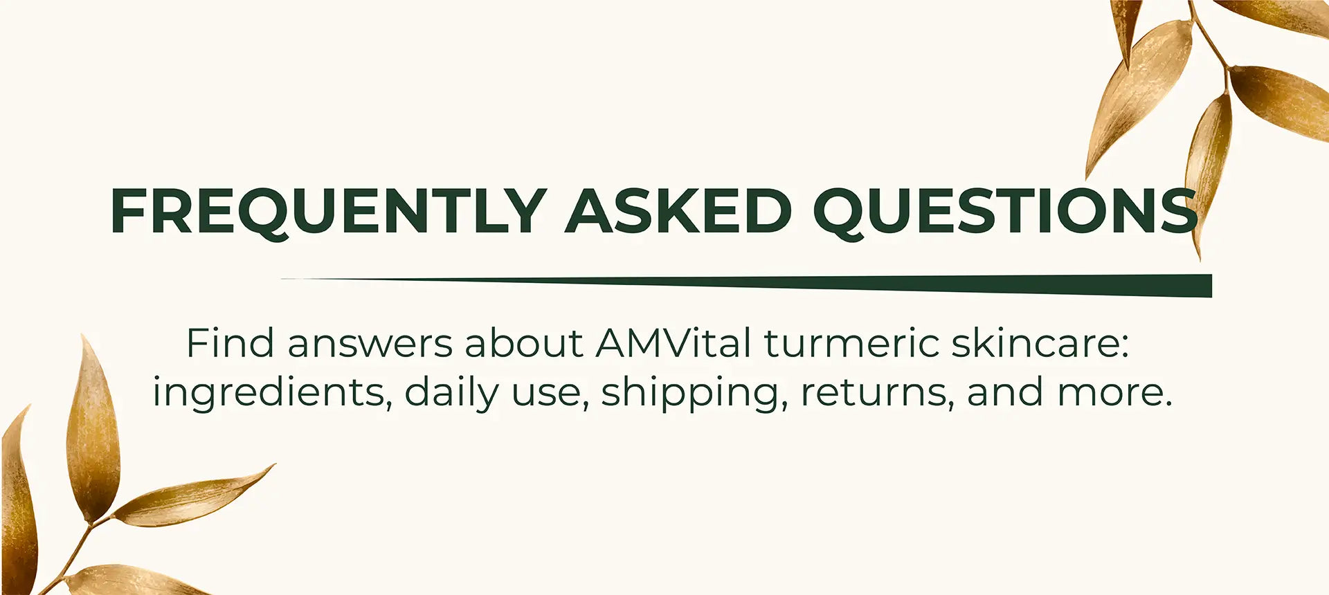 AMVital FAQ Desktop Slide1