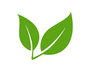 Green leaf icon
