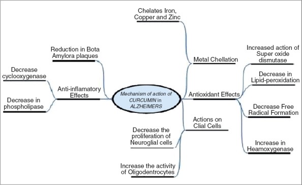 curcumin and dementia