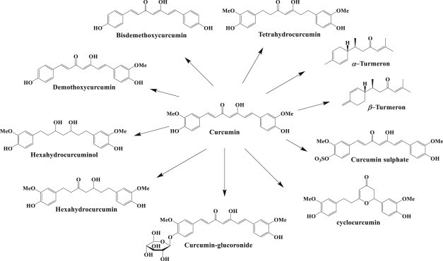 Chemical Composition of Turmeric