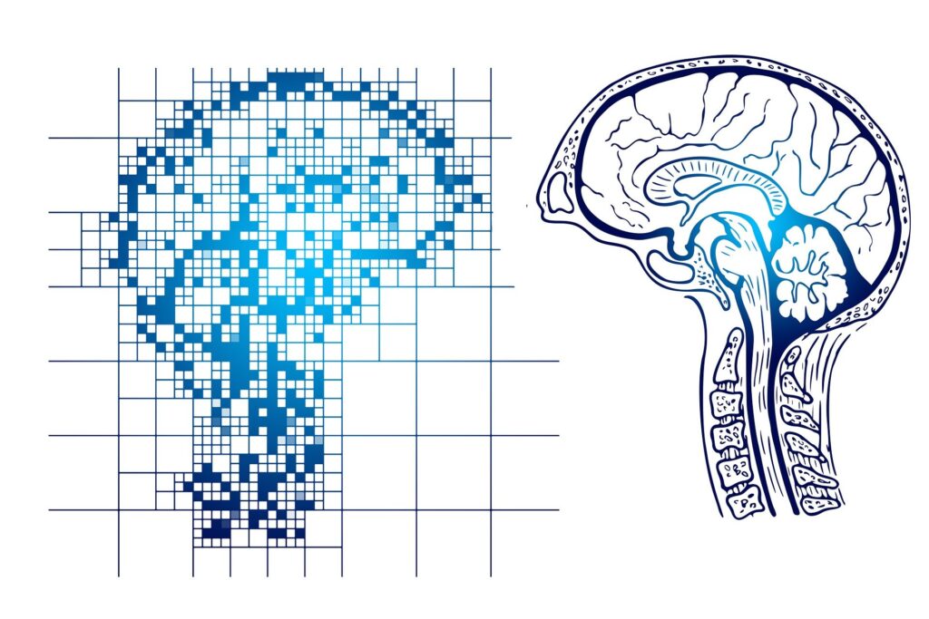 dementia and curcumin