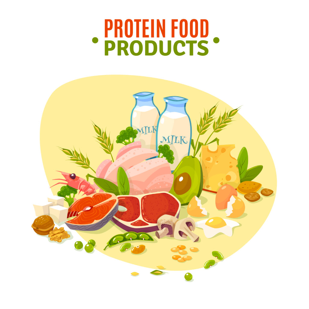 Protein Food Products Flat Illustration Poster