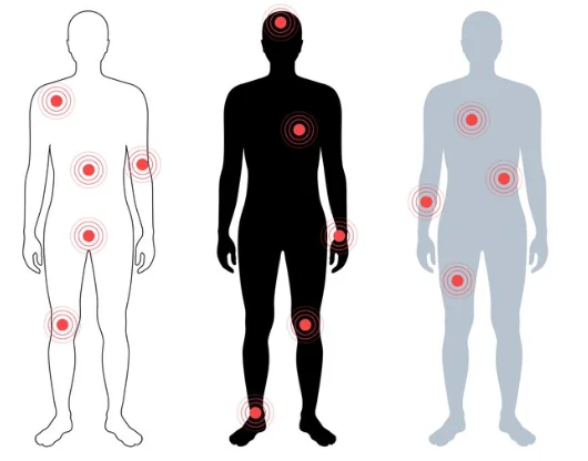 ginseng plant may lower fibromyalgia pain.