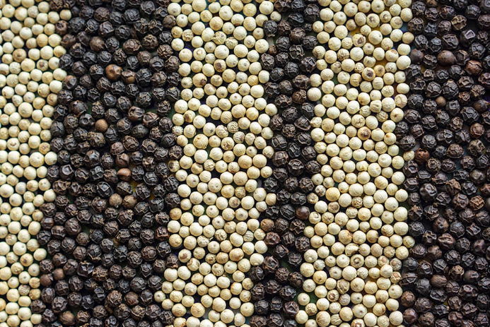 Black vs White Pepper: Which Is Right for You?