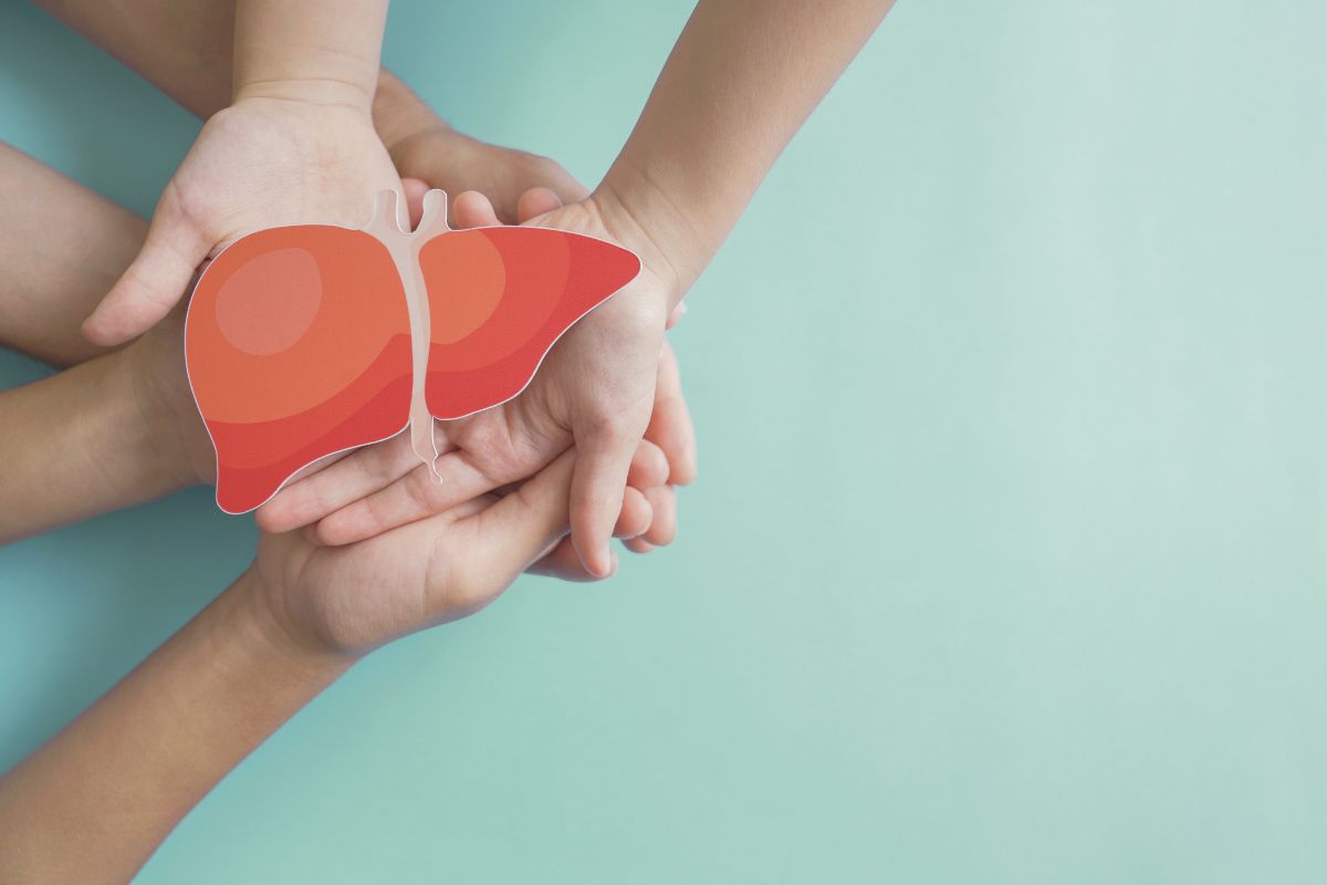 Hands holding a cartoon graphic of a liver.