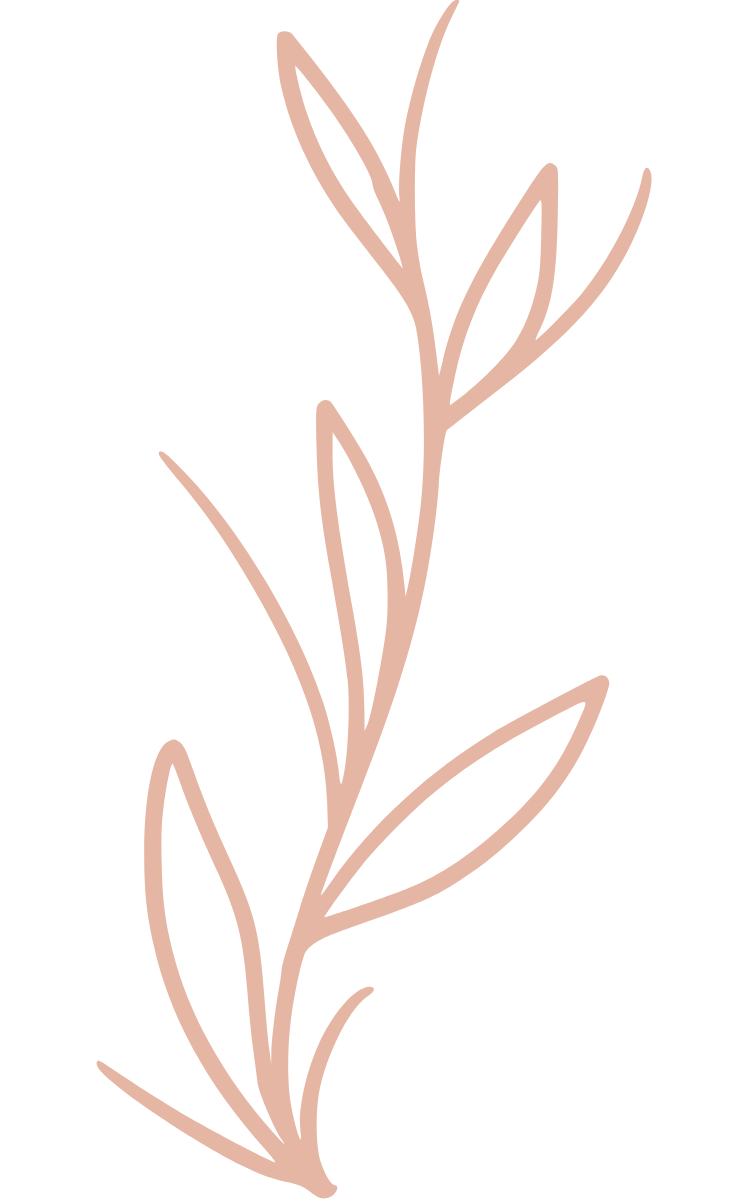 A turmeric plant growing drawing.