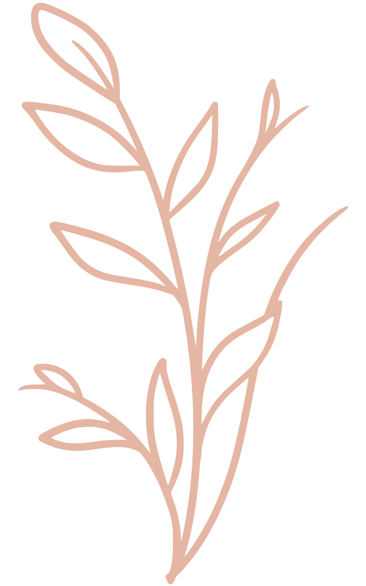 A turmeric plant growing drawing.